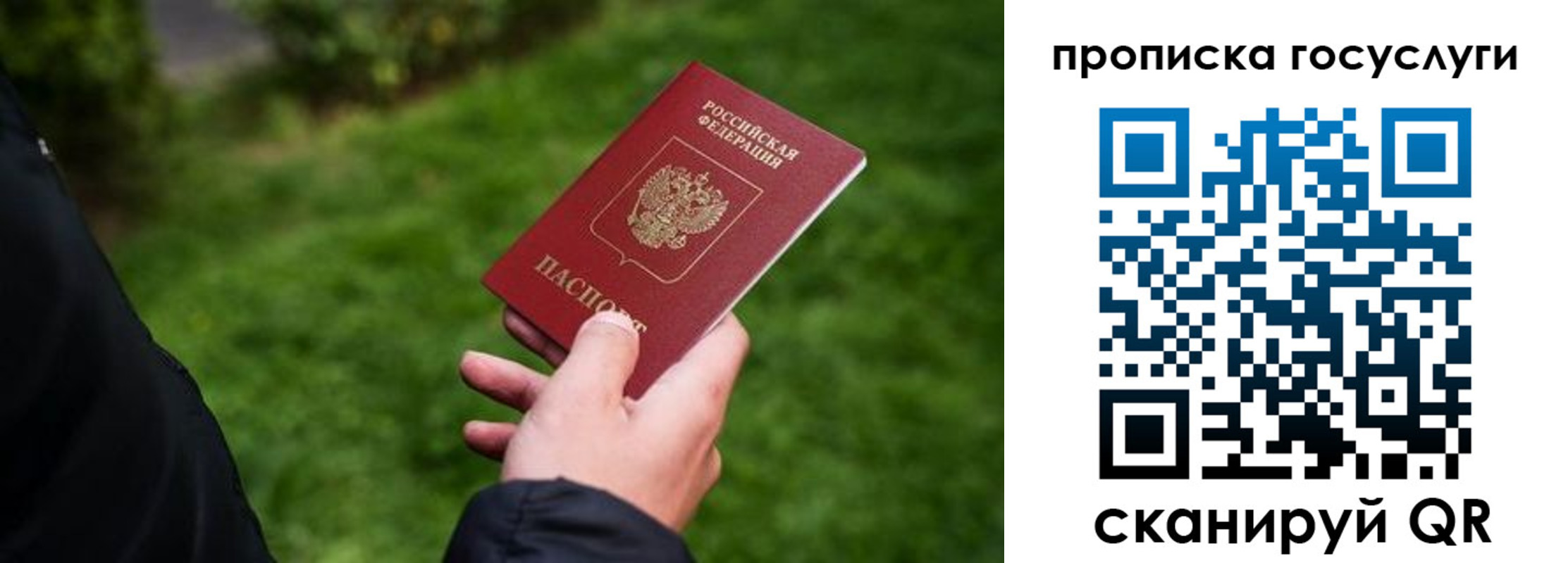 прописка для работы в Тынде